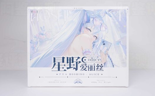 TMT——「星野愛麗絲2代」實測！包裝精緻如動漫周邊豪華套組，膠體設計卻像十年舊庫存